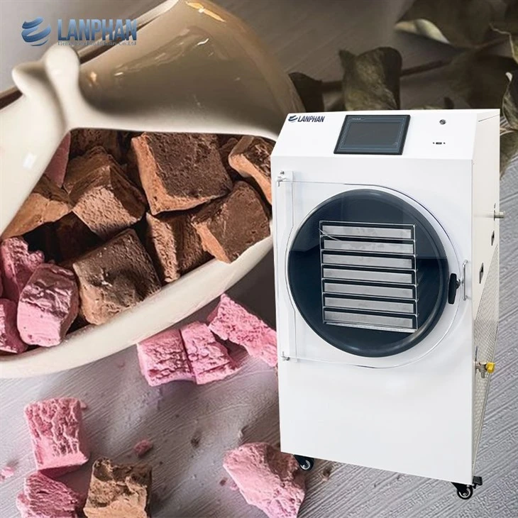 Assecador de congelació d'aliments de bricolatge