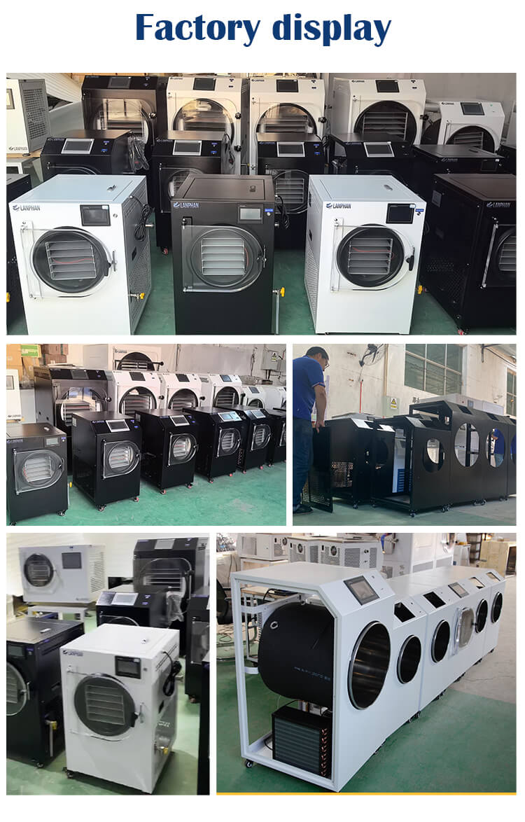 3.5㎡ Freeze Dryer (9).jpg